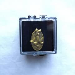 【未使用】 Disney ディズニー キャスト 限定 勤続 5年 ピン プルート m61903689738_1.jpg?1756556063