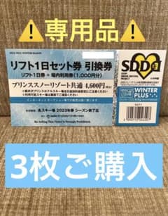 共通1日リフト券+場内利用券1000円分のサムネイル