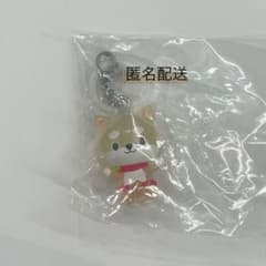 【匿名配送】JOCHUM ジェオチャム めじるしアクセサリー まめちぃのサムネイル
