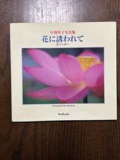 早渕英子写真集 花に誘われて 夏から秋へのサムネイル