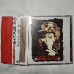 【入手不可】ルシファ・ラセス・ヴィオルヌ ブック パンフ 小説 コレクターズ レア Lucifer Luscious VIOLENOUE 鎖に繋がれた天使 - メルカリ