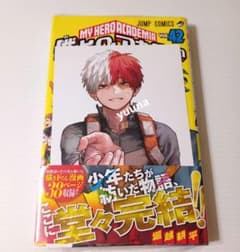 僕のヒーローアカデミア 42巻 特典 イラストカード ヒロアカ 轟焦凍