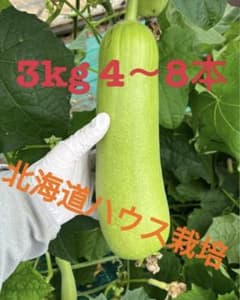 へちま　３kg　4～8本　最後の一箱のサムネイル