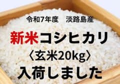 新米令和7年度淡路島産 玄米コシヒカリ20kg 〈送料無料〉 ※数量限定 