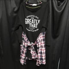 4Lのサムネイル