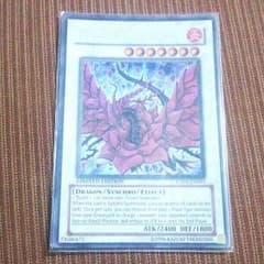 ブラック・ローズ・ドラゴン CT05 英語版シク 遊戯王のサムネイル