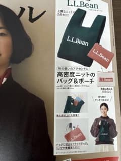 ＊リンネル11月号＊L.L.Bean ニットバッグ &ミニポーチ＊付録のみ＊のサムネイル