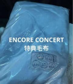 PLAVE encore コンサート入場特典 ブランケット PLAVE アジアツアー アンコール 入場特典 ブランケット - メルカリ