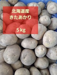 北海道産　きたあかりのサムネイル
