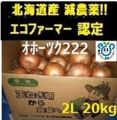 北海道産玉ねぎ20kg2Lサイズ ※202のサムネイル