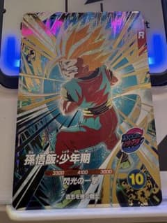 GDR SDV12-026 Son Gohan: Boyhood