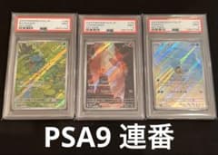 PSA9】3連番 御三家AR 151 フシギダネ ヒトカゲ ゼニガメ - メルカリ