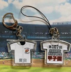 １９８０年高校野球キーホルダー、新品無使用 2025年最新】Yahoo!オークション -高校野球キーホルダー