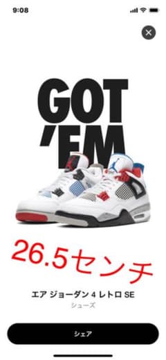 エアジョーダン4レトロ　WHAT THEのサムネイル