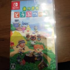 ヤ*ー様 あつまれ どうぶつの森 Nintendo Switchのサムネイル
