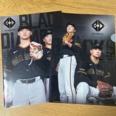 読売ジャイアンツ ブラックダイヤモンドシリーズ クリアファイル2枚セットのサムネイル