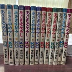 あさきゆめみし 大和和紀 全巻セット 講談社コミックスのサムネイル
