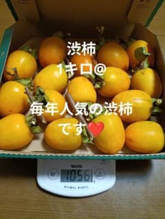 毎年大人気です！！渋柿T字カット1キロ　10月12日収穫のサムネイル