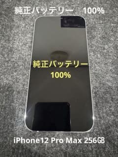 純正バッテリー100%】iPhone 12 Pro Max 256GB＋おまけ - メルカリ