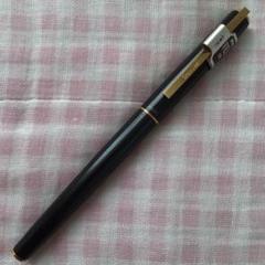 パイロット 14K 14金 万年筆 グランセ 細字 F うるし 黒 廃盤 m62003087920_1.jpg?1730623451