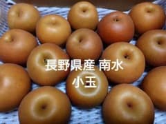 長野県産 南水 小玉のサムネイル