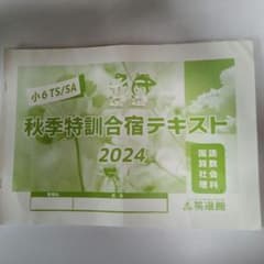 英進館小学6年生TS、SA2024年秋季特訓合宿テキスト1 冊 - メルカリ