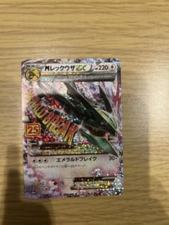 週末値下げ　『美品』　25th レックウザ　ローダー付き