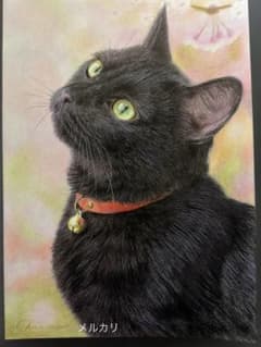 色鉛筆画.A4.黒猫.57 色鉛筆画.A4.黒猫.57 - メルカリ