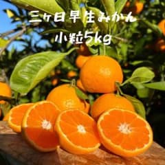 三ヶ日早生みかん 小粒5kg 3sサイズのサムネイル