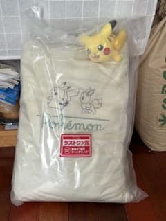 とびつきピカチュウクッションのサムネイル