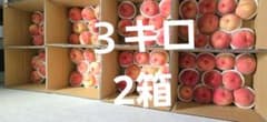 山形県産 桃 訳アリ ショコウ 3キロ2箱 今日送ります4時までのサムネイル