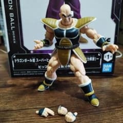 掌動　ナッパのサムネイル