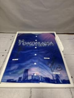 横浜DeNAベイスターズ サイン入りユニフォーム 額装 複数選手 直筆サイン 横浜DeNAベイスターズ サイン入りユニフォーム 複数選手 直筆