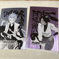 BLEACH 扉絵ポストカードコレクション 日番谷冬獅郎 四楓院夜一 - メルカリ