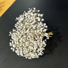 会津産＊かすみ草 ＊ドライフラワー - メルカリ