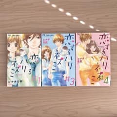 恋するハリネズミ　ヒナチなお　1.3.4巻のサムネイル