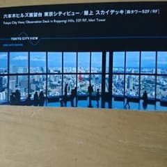 六本木ヒルズ 展望台チケットのサムネイル