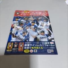 A4クリアファイル 1枚 北海道日本ハムファイターズ 大谷翔平選手 中田