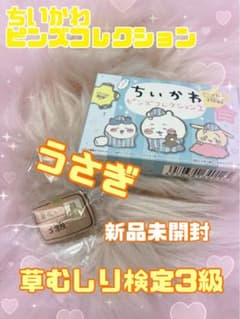 ちいかわ/うさぎ/ピンズコレクションのサムネイル