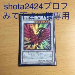 専用です！のサムネイル