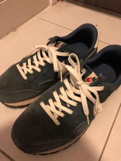 NIKE エアペガサスのサムネイル