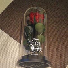 美女と野獣 リングピローのサムネイル