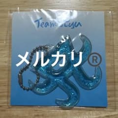 浜崎あゆみ■激レア■キーホルダー■青【在庫ラスト】【新品・未使用】【匿名発送】 浜崎あゆみ□TeamAyu□キーホルダー□【新品・未使用】【匿名発送