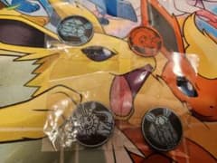 ポケモン イーブイズコイン　セット売り　コインコレクションのサムネイル