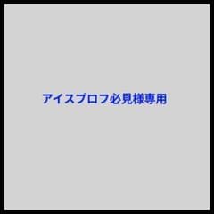 アイスプロフ必見様専用！アシストフック　◇国産◇管付伊勢尼13号　33本セットのサムネイル
