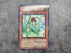 ナチュル・ローズウィップ DT04-JP021 ②のサムネイル