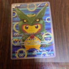 ポンチョを着たピカチュウ（レックウザ） その他のサムネイル