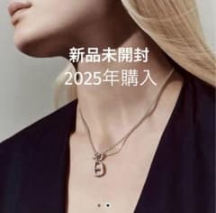 新品未開封 エルメス シェーヌダンクル アミュレット ネックレス ペンダントのサムネイル