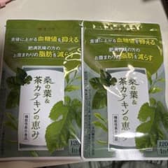 桑の葉＆茶カテキンの恵み 120粒 新品2袋セットのサムネイル