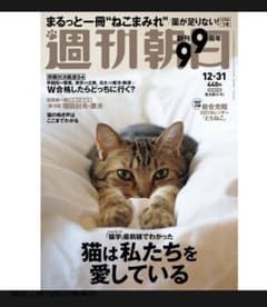 週刊朝日　猫　猫カレンダー　岩合光昭のサムネイル